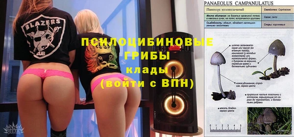шишки Алексеевка