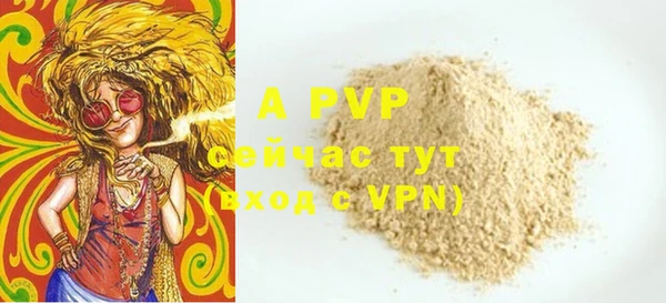 гашик Абаза